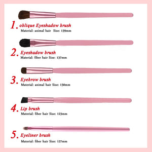 Portable  Eye Makeup Brushes Set